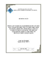 phân lập vi khuẩn clostridium spp. từ mẫu đất tại huyện phú tân và châu phú tỉnh an giang, kiểm tra tính nhạy cảm của vi khuẩn phân lập được với một số loại kháng sinh và thử độc tố botulin trên chuột bạch