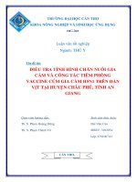 điều tra tình hình chăn nuôi gia cầm và công tác tiêm phòng vaccine cúm gia cầm h5n1 trên đàn vịt tại huyện châu phú, tỉnh an giang