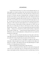 Báo cáo thực tập tại Công ty Cồ phần Đầu tư và Công nghệ Đất Việt