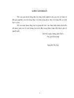 Khóa luận: Sự tham gia của người dân trong việc xây dựng mô hình nông thôn mới trên địa bàn xã Phú Lâm, huyện Tiên Du, tỉnh Bắc Ninh  Nguyễn Thị Lan