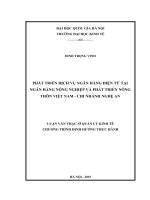 Phát triển dịch vụ ngân hàng điện tử tại ngân hàng nông nghiệp và phát triển nông thôn việt nam chi nhánh nghệ an 
