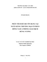 phân tích rủi ro tín dụng tại ngân hàng thương mại cổ phần đông nam á phòng giao dịch hùng vương