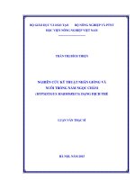 nghiên cứu kỹ thuật nhân giống và nuôi trồng nấm ngọc châm (hypsizygus marmoreus) dạng dịch thể