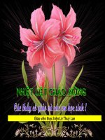 Tiết 67: Tác động con người đến môi trường nước và không khí