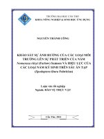 khảo sát sự ảnh hưởng của các loại môi trường lên sự phát triển của nấm nomuraea rileyi (farlow) samson và hiệu lực của các loại nấm ký sinh trên sâu ăn tạp (spodoptera litura fabricius)