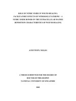 Role of nitric oxide in wound healing facilitatory effects of nitrosoglutathione a nitric oxide donor on the extracellular matrix deposition characteristics of wound healing 