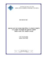 khảo sát sự sinh trưởng và phát triển của bốn tổ hợp ớt kiểng ghép trên gốc ớt thiên ngọc