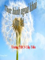 Thực hành ngoại khoá