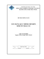 xây dựng quy trình chế biến sinh tố trái cây