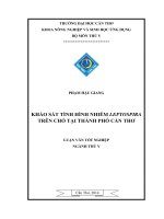 khảo sát tình hình nhiễm leptospira trên chó tại thành phố cần thơ