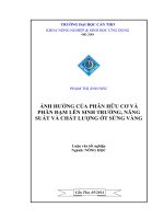 ảnh hưởng của phân hữu cơ và phân đạm lên sinh trưởng, năng suất và chất lượng ớt sừng vàng