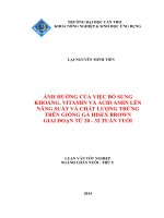 ảnh hưởng của việc bổ sung khoáng, vitamin và acid amin lên năng suất và chất lượng trứng trên giống gà hisex brown giai đoạn từ 20   32 tuần tuổi