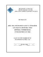 điều tra thành phần loài và tình hình gây hại của ruồi đục trái (diptera tephritidae) ở thành phố cần thơ