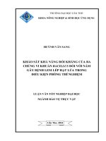 khảo sát khả năng đối kháng của ba chủng vi khuẩn bacillus đối với nấm gây bệnh lem lép hạt lúa trong điều kiện phòng thí nghiệm