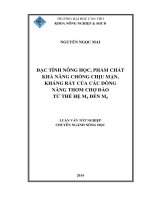 đặc tính nông học, phẩm chất khả năng chống chịu mặn, kháng rầy của các dòng nàng thơm chợ đào từ thế hệ m4 đến m6