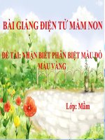 Bài giảng điện tử mầm non lớp Mầm đề tài Nhận biết phân biệt màu đỏ, màu vàng