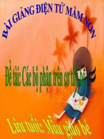 Bài giảng điện tử mầm non lớp Mầm đề tài Các bộ phận cơ thể bé