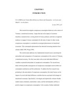 An investigation into conspicuous consumption in a transitional economy  a study of emerging urban vietnamese consumers 
