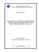 ảnh hưởng của giống và kích thước dụng cụ đựng giá thể thủy canh đến năng suất rau cải ăn lá