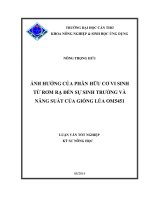 ảnh hưởng của phân hữu cơ vi sinh từ rơm rạ đến sự sinh trưởng và năng suất của giống lúa om5451