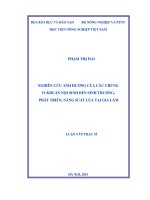 nghiên cứu ảnh hưởng của các chủng vi khuẩn nội sinh đến sinh trưởng, phát triển, năng suất lúa tại gia lâm