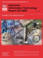 Indonesia information technology report   q3 2009 
