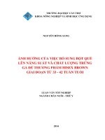 ảnh hưởng của việc bổ sung bột quế lên năng suất và chất lượng trứng gà đẻ thương phẩm hisex brown giai đoạn từ 33   42 tuần tuổi