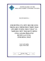 ảnh hưởng của mức độ che sáng trong quá trình phát triển trái lên hiện tượng trái “chai” và “khô đầu múi” trái quýt hồng tại huyện lai vung, tỉnh đồng tháp