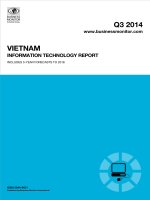 Vietnam information technology report   q3 2014 