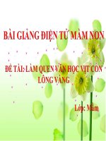 Bài giảng điện tử mầm non lớp Mầm đề tài Làm quen văn học Vịt con lông vàng