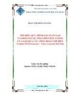 tìm hiểu quy trình sản xuất gạo và khảo sát sự thay đổi chất lượng của gạo qua các công đoạn chế biến (xí nghiệp chế biến lương thực 1   công ty lương thực đồng tháp)