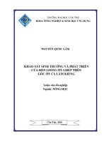 khảo sát sinh trưởng và phát triển của bốn giống ớt ghép trên gốc ớt cà làm kiểng