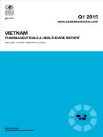 Vietnam pharmaceuticals  healthcare report   q1 2015 