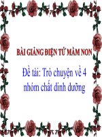 Bài giảng điện tử mầm non lớp Mầm đề tài Trò chuyện về 4, nhóm chất dinh dưỡng