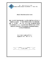 khảo sát thành phần côn trùng gây hại trên lá sen ở tỉnh vĩnh long và thành phố cần thơ – một số đặc điểm hình thái và sinh học của loài sâu róm 4 gu vàng orgyia postica walker (lepidoptera lymantriidae)