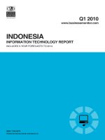 Indonesia information technology report   q1 2010 