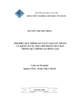 tìm hiểu quy trình sản xuất gạo xát trắng và khảo sát sự thay đổi phẩm chất hạt trong quá trình lau bóng gạo