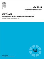 Vietnam pharmaceuticals  healthcare report   q4 2014 