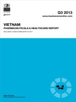 Vietnam pharmaceuticals  healthcare report   q3 2013 