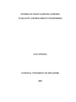 Studies on chain sampling schemes in quality and reliability engineering 