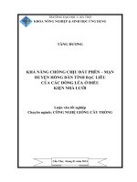 khả năng chống chịu đất phèn – mặn huyện hồng dân tỉnh bạc liêu của các dòng lúa ở điều kiện nhà lưới