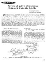 Rủi ro nợ và quản trị rủi ro nợ công, khảo sát từ lý luận đến thực tiễn