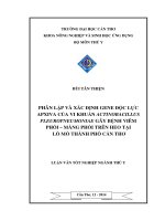 phân lập và xác định gene độc lực apxiva của vi khuẩn actinobacillus pleuropneumoniae gây bệnh viêm phổi – màng phổitrên heo tại lò mổ thành phố cần thơ