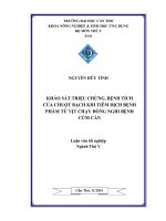 khảo sát triệu chứng, bệnh tích của chuột bạch khi tiêm dịch bệnh phẩm từ vịt chạy đồng nghi bệnh cúm cần