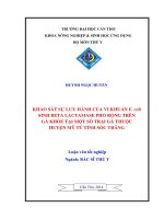 khảo sát sự lưu hành của vi khuẩn e  coli sinh beta lactamase phổ rộng trên gà khỏe tại một số trại gà thuộc huyện mỹ tú tỉnh sóc trăng