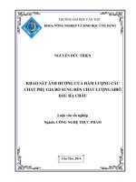 khảo sát ảnh hưởng của hàm lượng các chất phụ gia bổ sung đến chất lượng sirô dâu hạ châu