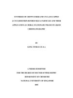 Synthesis of crown ether and cyclam capped beta cyclodextrin bonded silica particles and their application as chiral stationary phases in liquid chromatography 