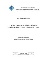 hoàn thiện quy trình chế biến và bảo quản cà chua xanh muối chua
