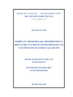 nghiên cứu thành phần, đặc điểm hình thái và sinh vật học của một số loài bọ trĩ hại rau gia vị có tiềm năng xuất khẩu tại lạng sơn