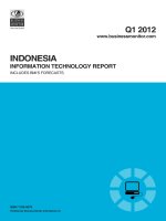 Indonesia information technology report   q1 2012 